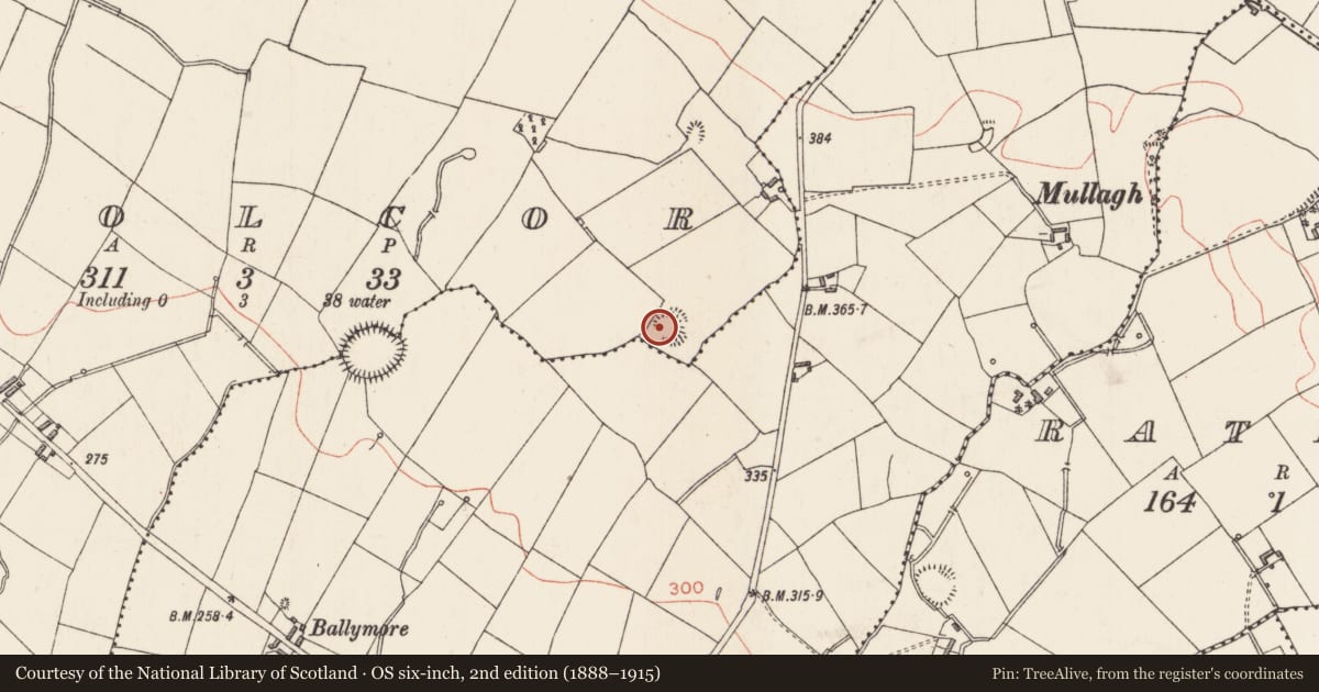 Ordnance Survey six-inch map, 2nd edition (1888–1915) covering the location of Ringfort - rath, Coolcor, County Longford, with a pin at the register's coordinates