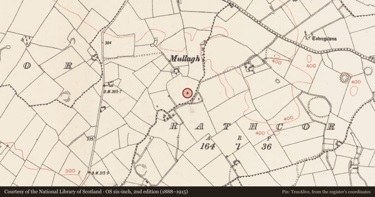 Ordnance Survey six-inch map, 2nd edition (1888–1915) covering the location of Ringfort - rath, Ballymore, Rathcor, County Longford, with a pin at the register's coordinates
