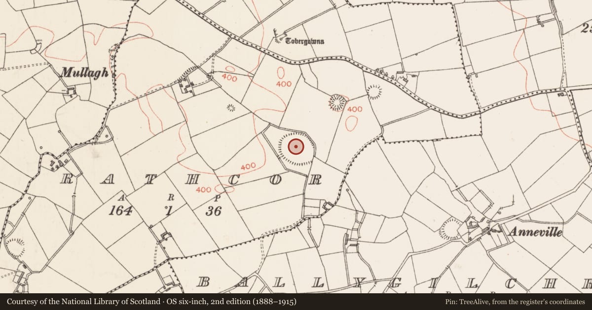 Ordnance Survey six-inch map, 2nd edition (1888–1915) covering the location of Enclosure, Rathcor, County Longford, with a pin at the register's coordinates