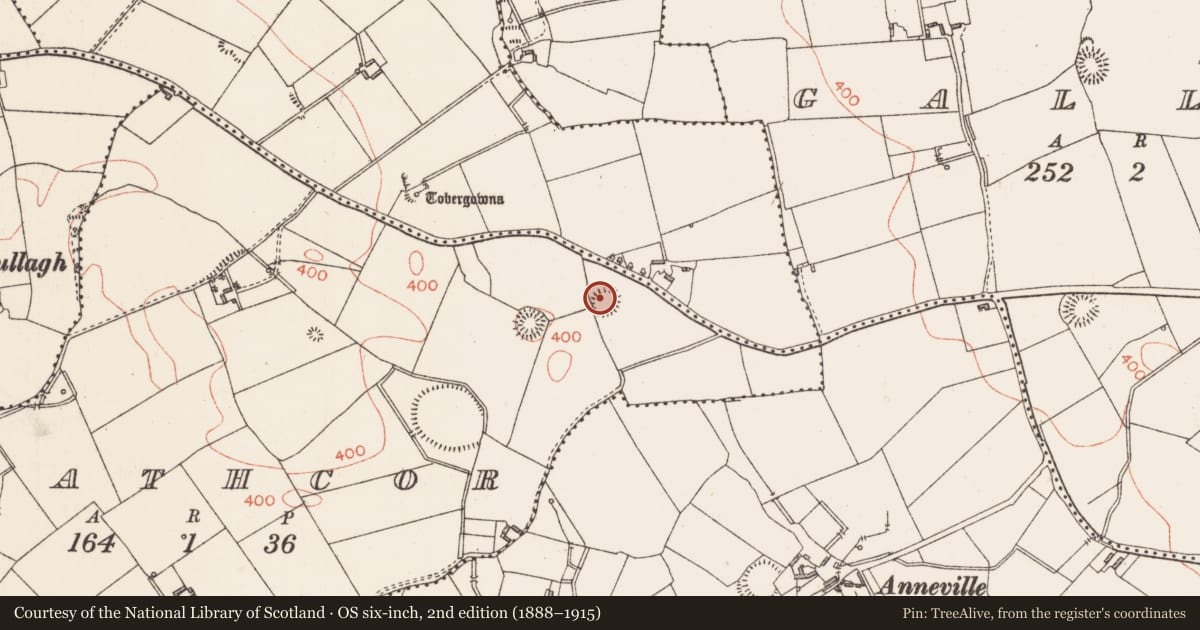 Ordnance Survey six-inch map, 2nd edition (1888–1915) covering the location of Ringfort - rath, Rathcor, County Longford, with a pin at the register's coordinates