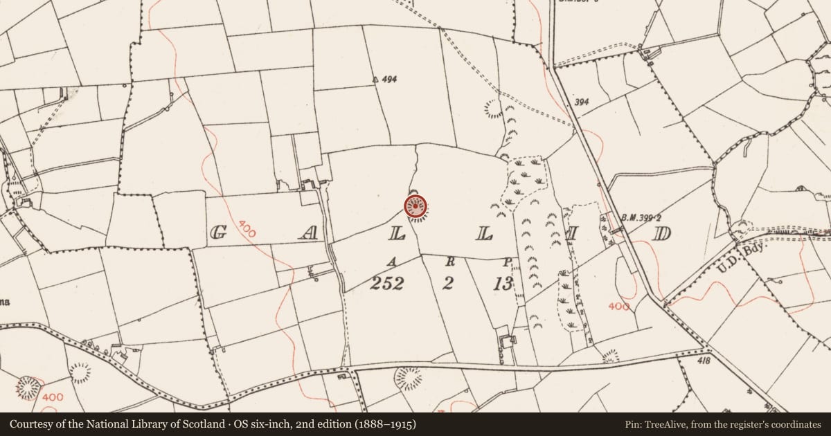 Ordnance Survey six-inch map, 2nd edition (1888–1915) covering the location of Ringfort - rath, Gallid, County Longford, with a pin at the register's coordinates