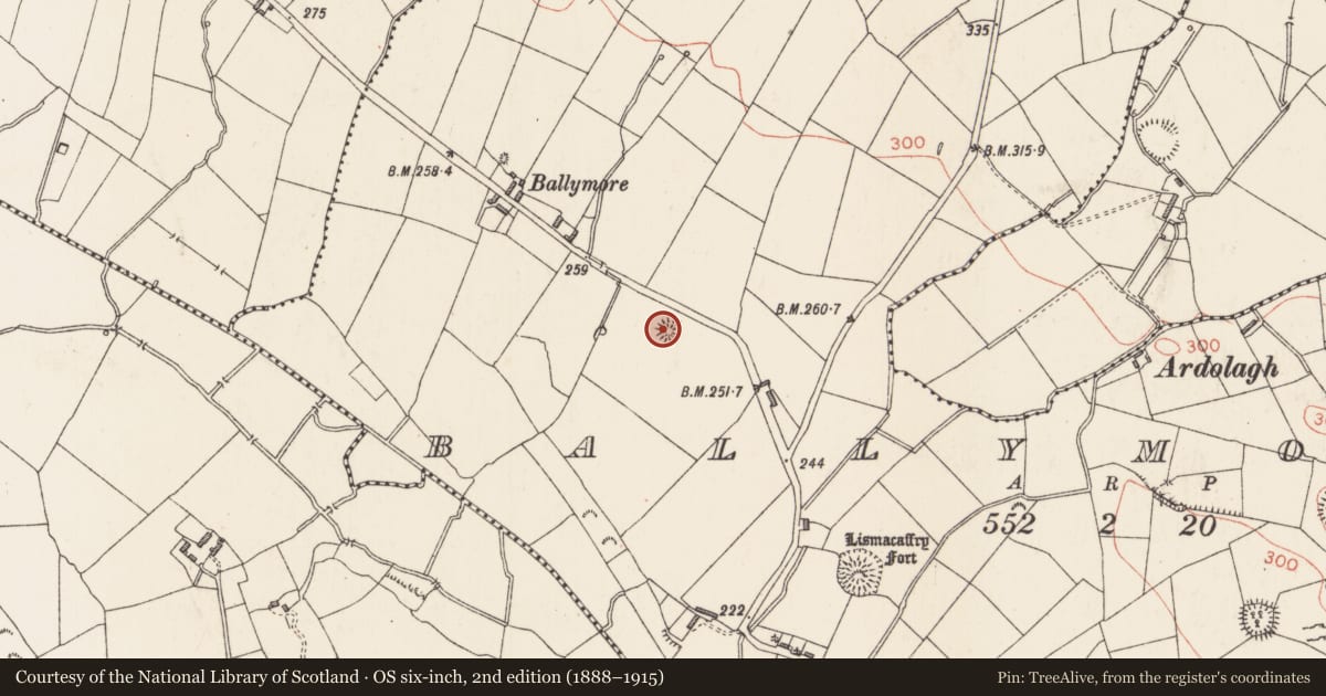 Ordnance Survey six-inch map, 2nd edition (1888–1915) covering the location of Barrow - ring-barrow, Ballymore, County Longford, with a pin at the register's coordinates