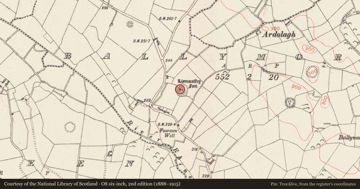Ordnance Survey six-inch map, 2nd edition (1888–1915) covering the location of Ringfort - rath, Ballymore, County Longford, with a pin at the register's coordinates