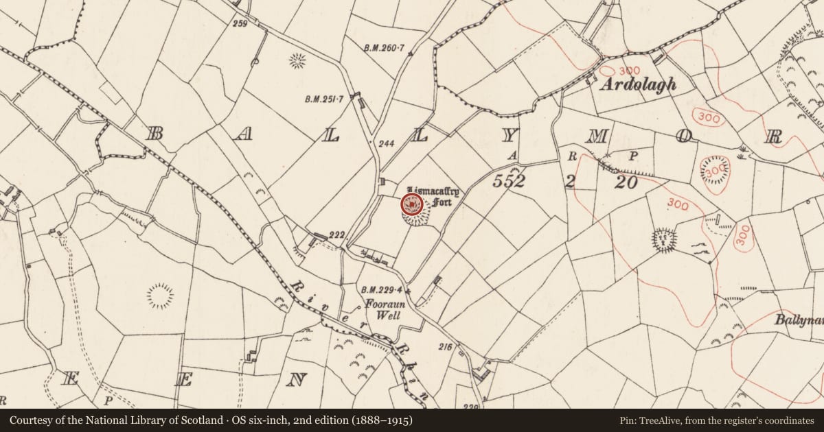 Ordnance Survey six-inch map, 2nd edition (1888–1915) covering the location of Souterrain, Ballymore, County Longford, with a pin at the register's coordinates
