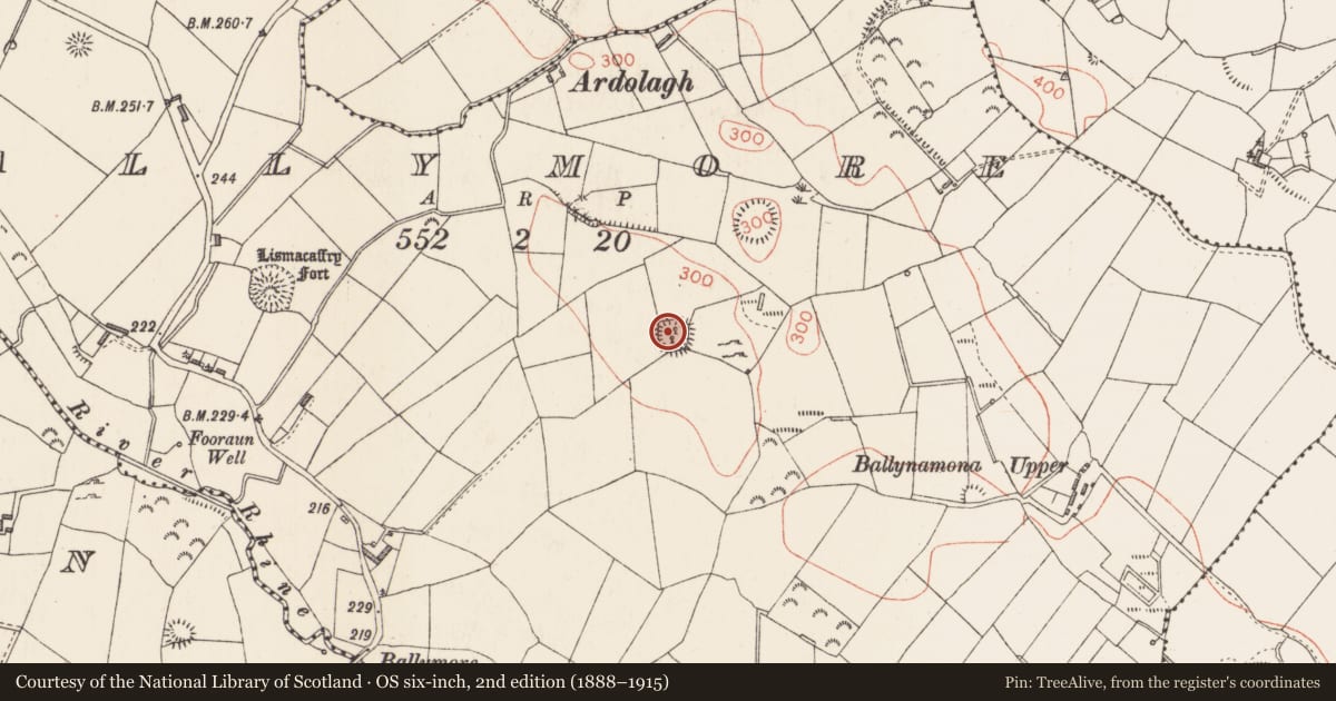 Ordnance Survey six-inch map, 2nd edition (1888–1915) covering the location of Ringfort - rath, Ballymore, County Longford, with a pin at the register's coordinates