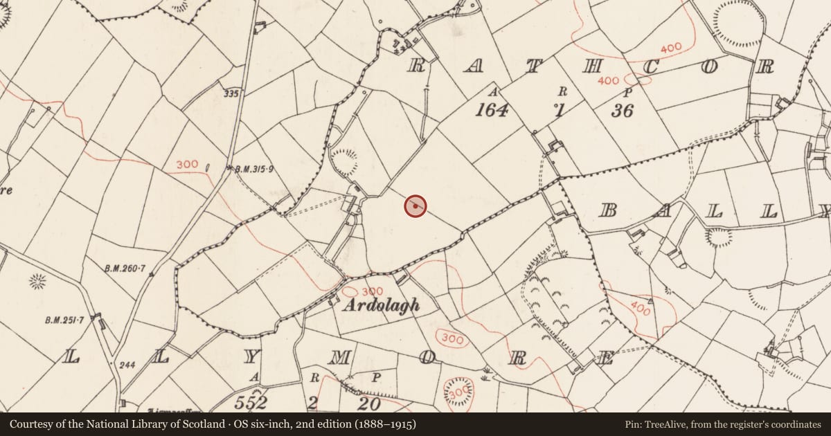 Ordnance Survey six-inch map, 2nd edition (1888–1915) covering the location of Ringfort - rath, Rathcor, County Longford, with a pin at the register's coordinates