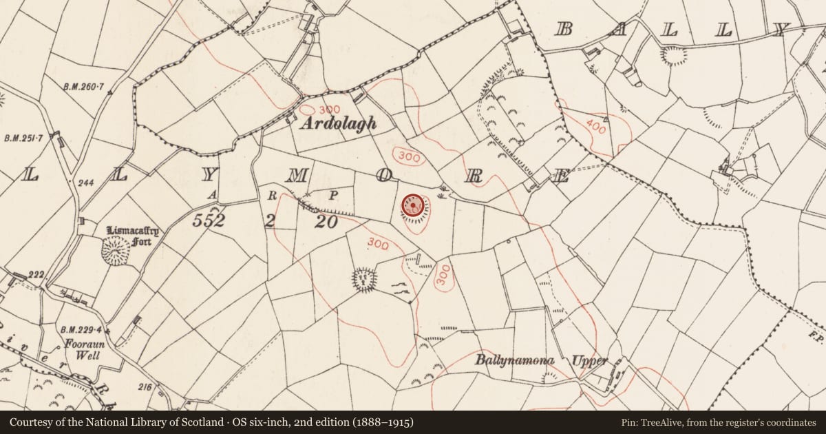 Ordnance Survey six-inch map, 2nd edition (1888–1915) covering the location of Ringfort - rath, Ballymore, County Longford, with a pin at the register's coordinates