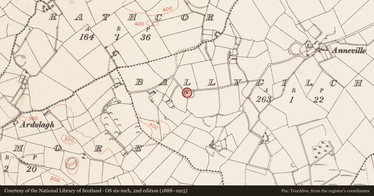 Ordnance Survey six-inch map, 2nd edition (1888–1915) covering the location of Ringfort - rath, Ballygilchrist, County Longford, with a pin at the register's coordinates
