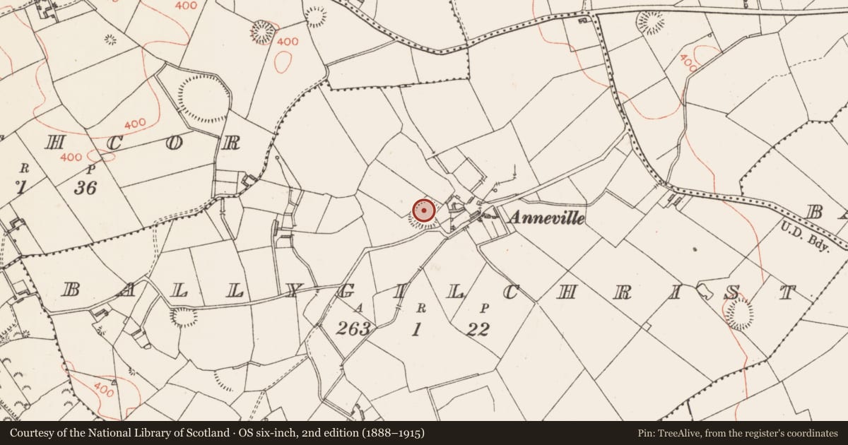 Ordnance Survey six-inch map, 2nd edition (1888–1915) covering the location of Ringfort - rath, Ballygilchrist, County Longford, with a pin at the register's coordinates