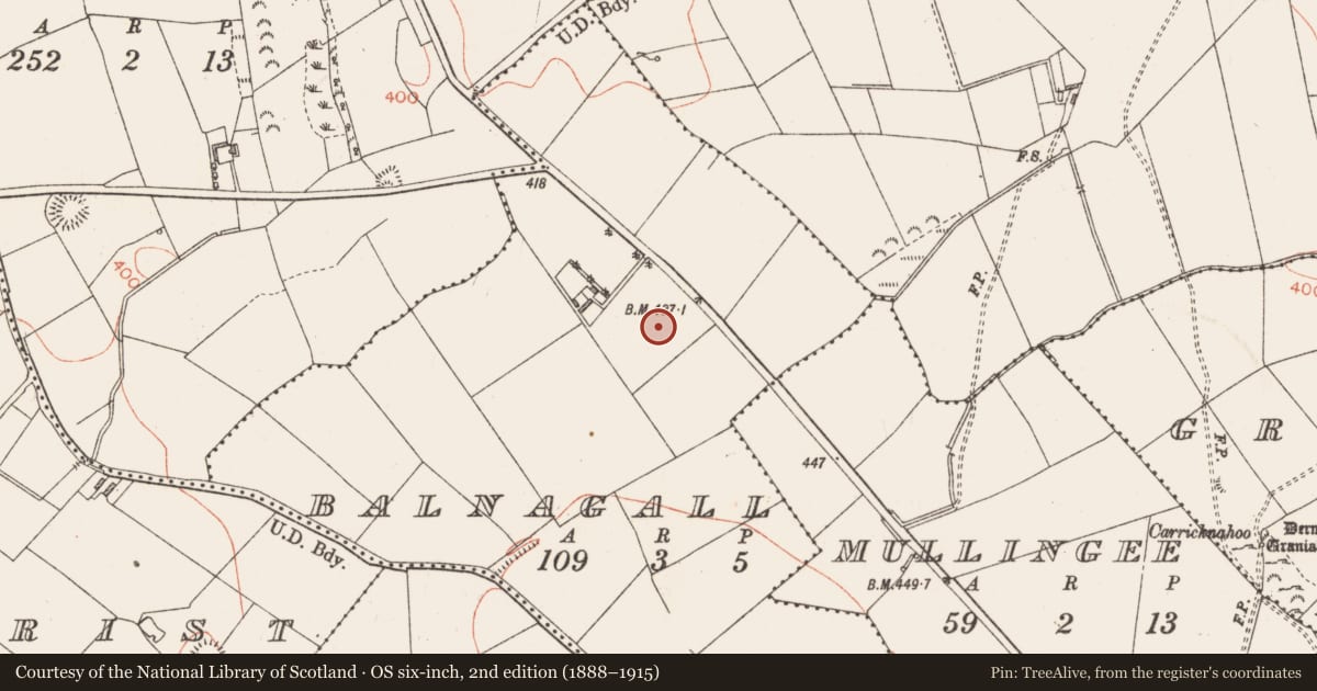 Ordnance Survey six-inch map, 2nd edition (1888–1915) covering the location of Ringfort - rath, Balnagall, County Longford, with a pin at the register's coordinates