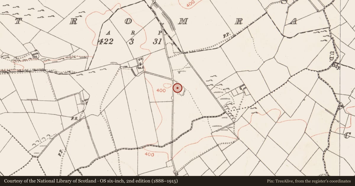 Ordnance Survey six-inch map, 2nd edition (1888–1915) covering the location of Enclosure, Tromra, County Longford, with a pin at the register's coordinates