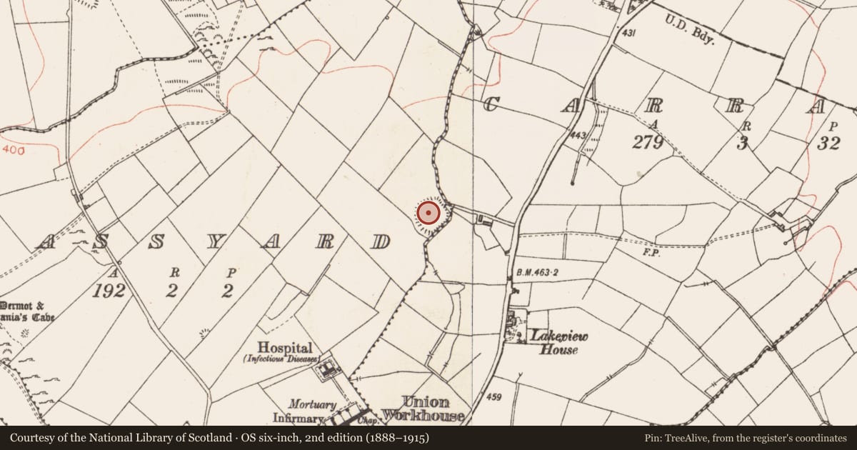 Ordnance Survey six-inch map, 2nd edition (1888–1915) covering the location of Ringfort - rath, Grassyard, County Longford, with a pin at the register's coordinates