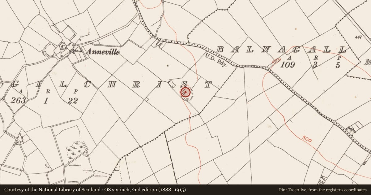 Ordnance Survey six-inch map, 2nd edition (1888–1915) covering the location of Ringfort - rath, Ballygilchrist, County Longford, with a pin at the register's coordinates