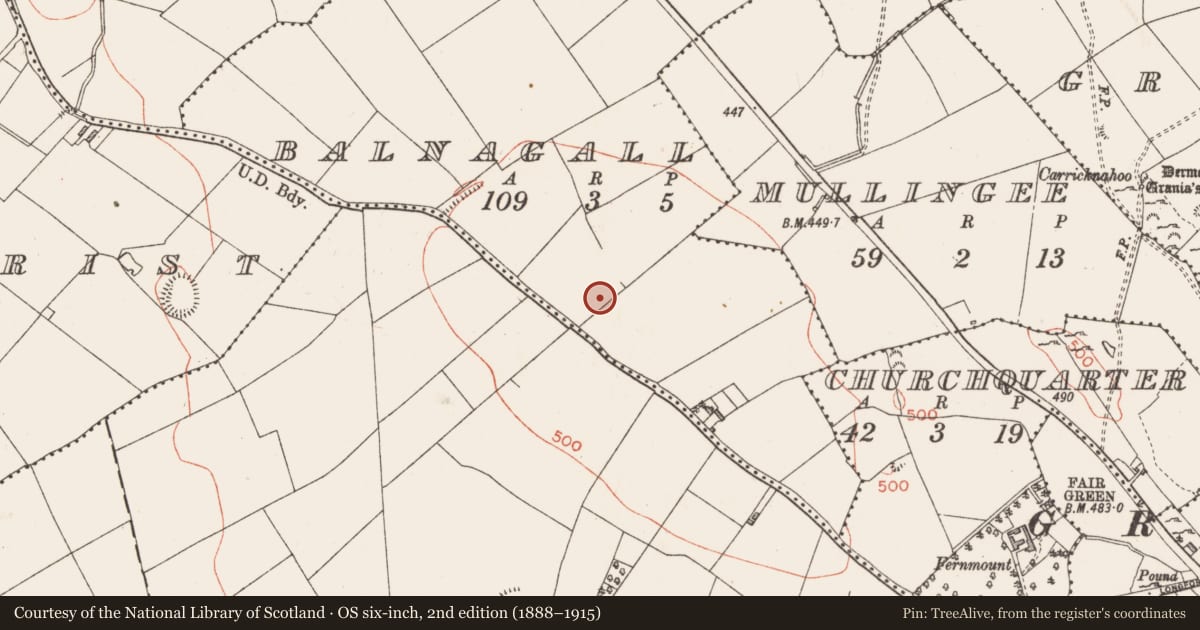Ordnance Survey six-inch map, 2nd edition (1888–1915) covering the location of Ringfort - rath, Balnagall, County Longford, with a pin at the register's coordinates