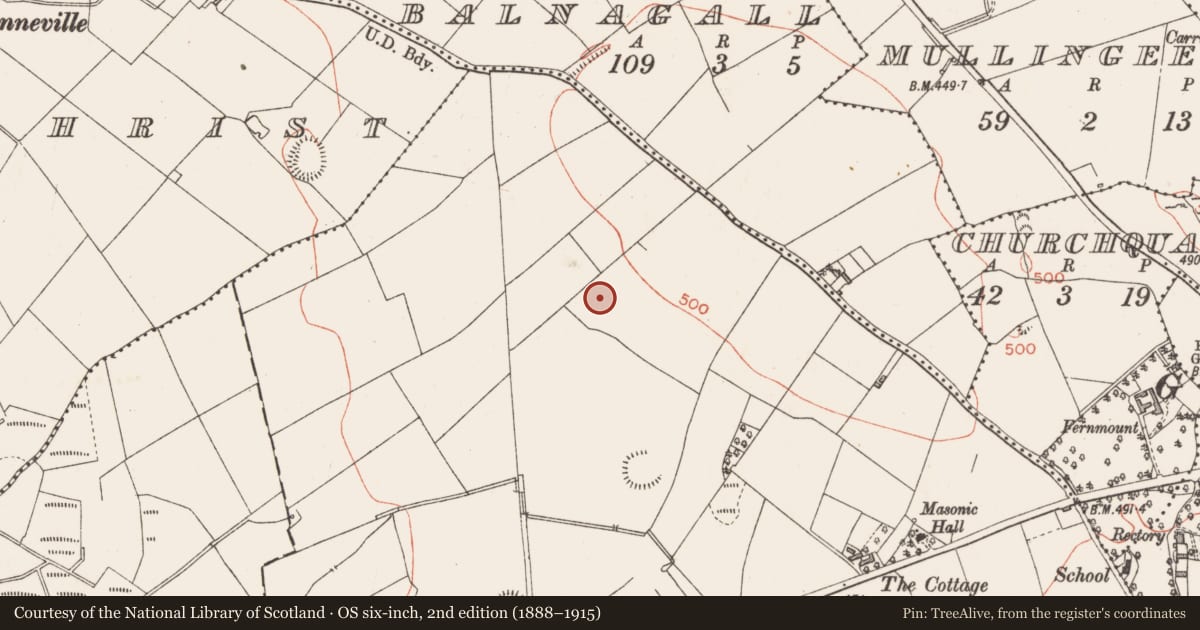 Ordnance Survey six-inch map, 2nd edition (1888–1915) covering the location of Ringfort - rath, Granardkill, County Longford, with a pin at the register's coordinates