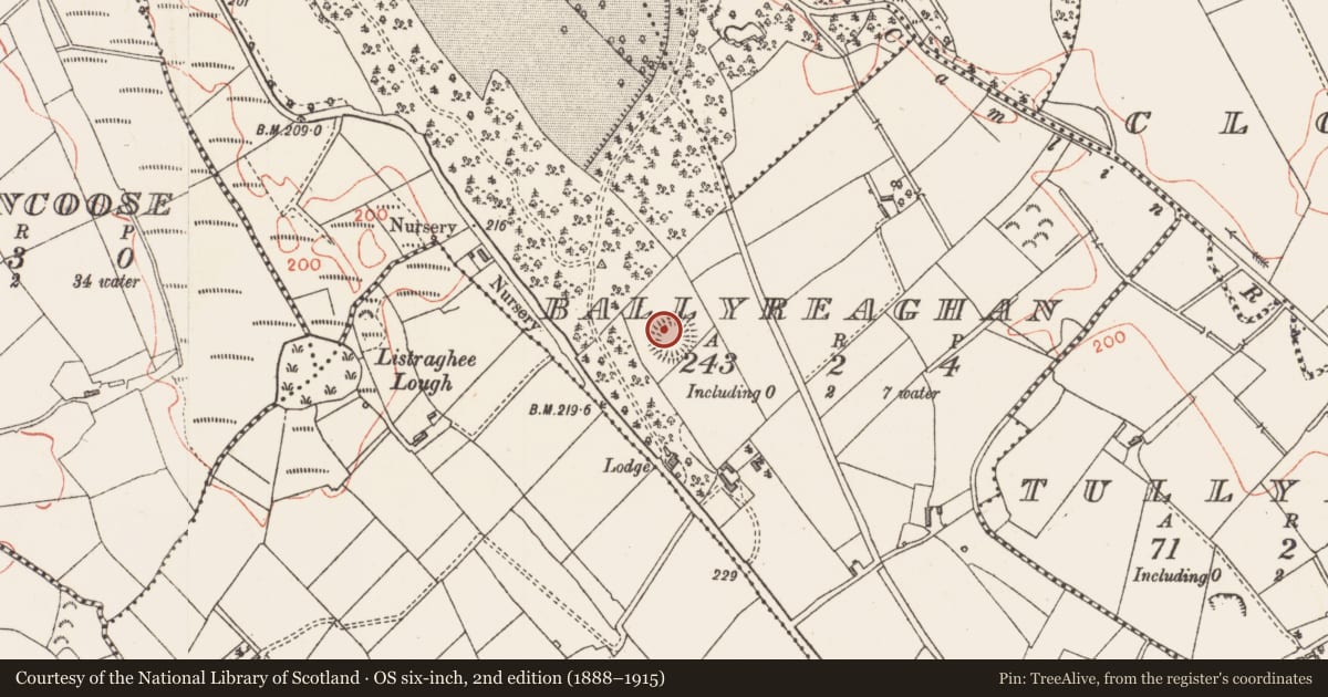 Ordnance Survey six-inch map, 2nd edition (1888–1915) covering the location of Ringfort - rath, Ballyreaghan, County Longford, with a pin at the register's coordinates