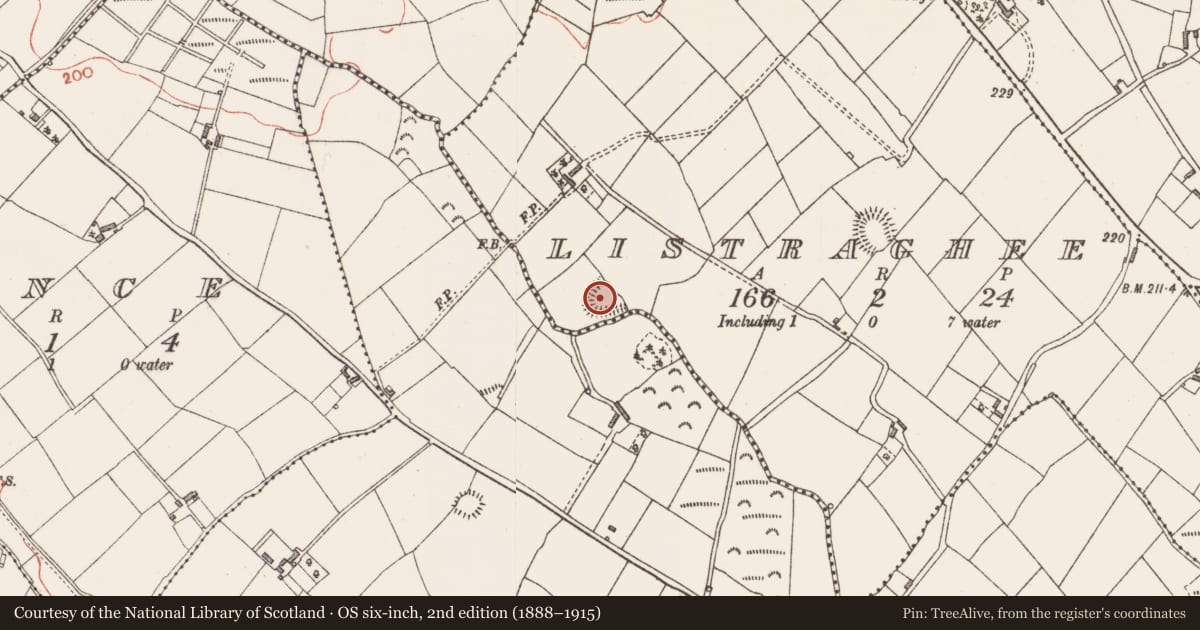 Ordnance Survey six-inch map, 2nd edition (1888–1915) covering the location of Ringfort - rath, Listraghee, County Longford, with a pin at the register's coordinates