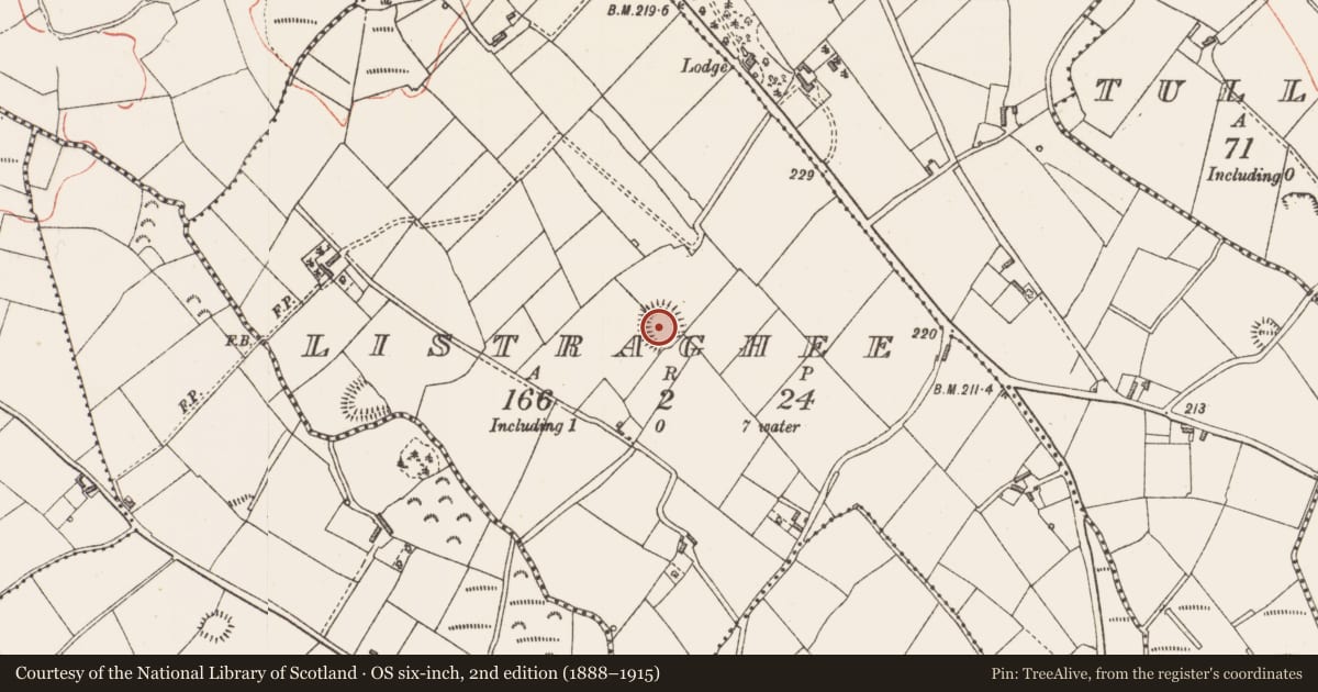 Ordnance Survey six-inch map, 2nd edition (1888–1915) covering the location of Ringfort - rath, Listraghee, County Longford, with a pin at the register's coordinates