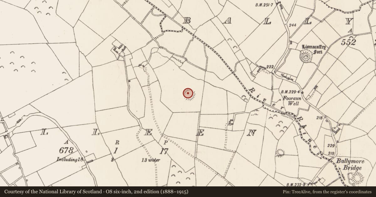 Ordnance Survey six-inch map, 2nd edition (1888–1915) covering the location of Ringfort - rath, Killeen, County Longford, with a pin at the register's coordinates
