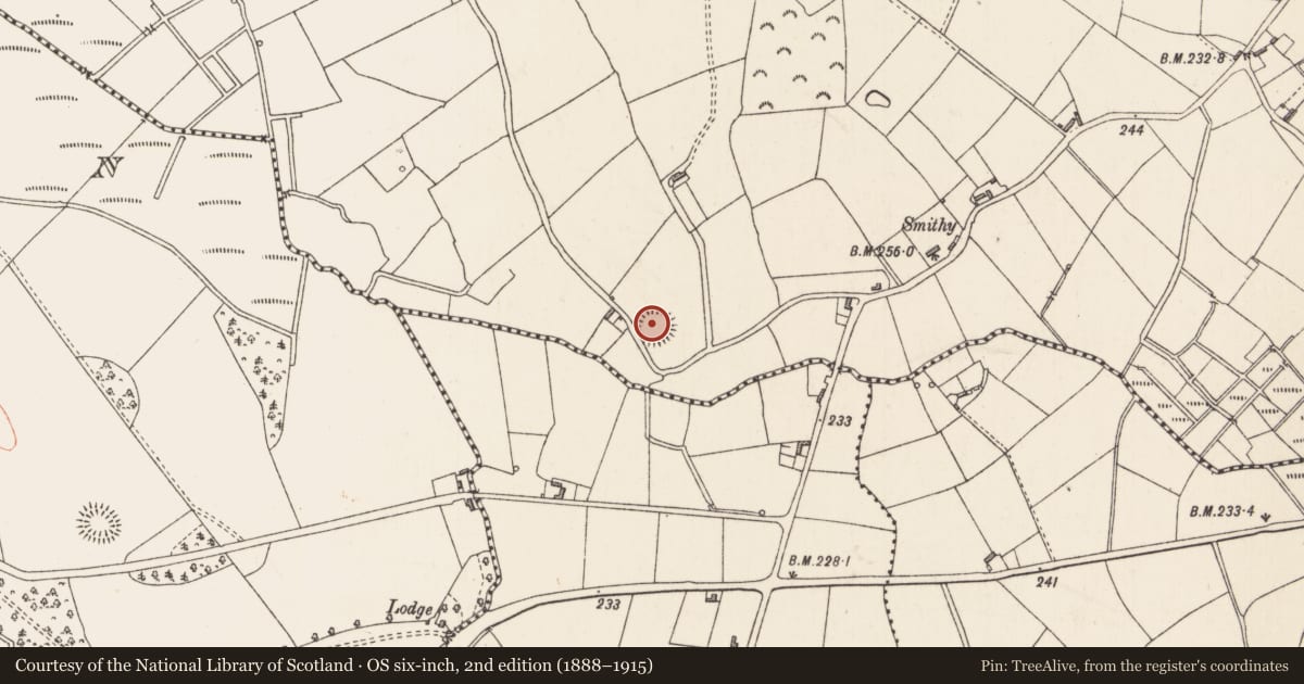 Ordnance Survey six-inch map, 2nd edition (1888–1915) covering the location of Ringfort - rath, Killeen, County Longford, with a pin at the register's coordinates
