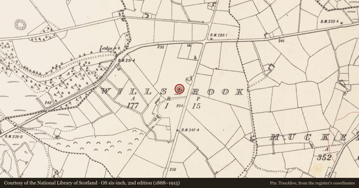 Ordnance Survey six-inch map, 2nd edition (1888–1915) covering the location of Ringfort - rath, Willsbrook, County Longford, with a pin at the register's coordinates