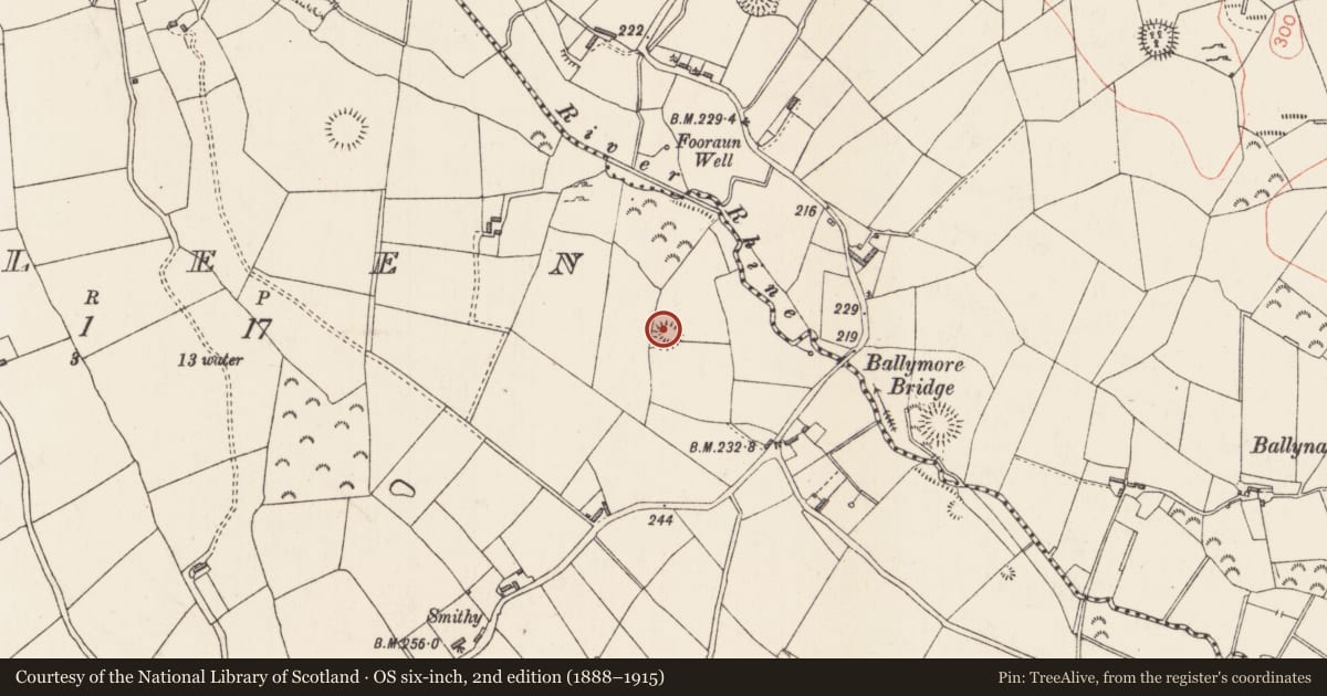 Ordnance Survey six-inch map, 2nd edition (1888–1915) covering the location of Ringfort - rath, Killeen, County Longford, with a pin at the register's coordinates