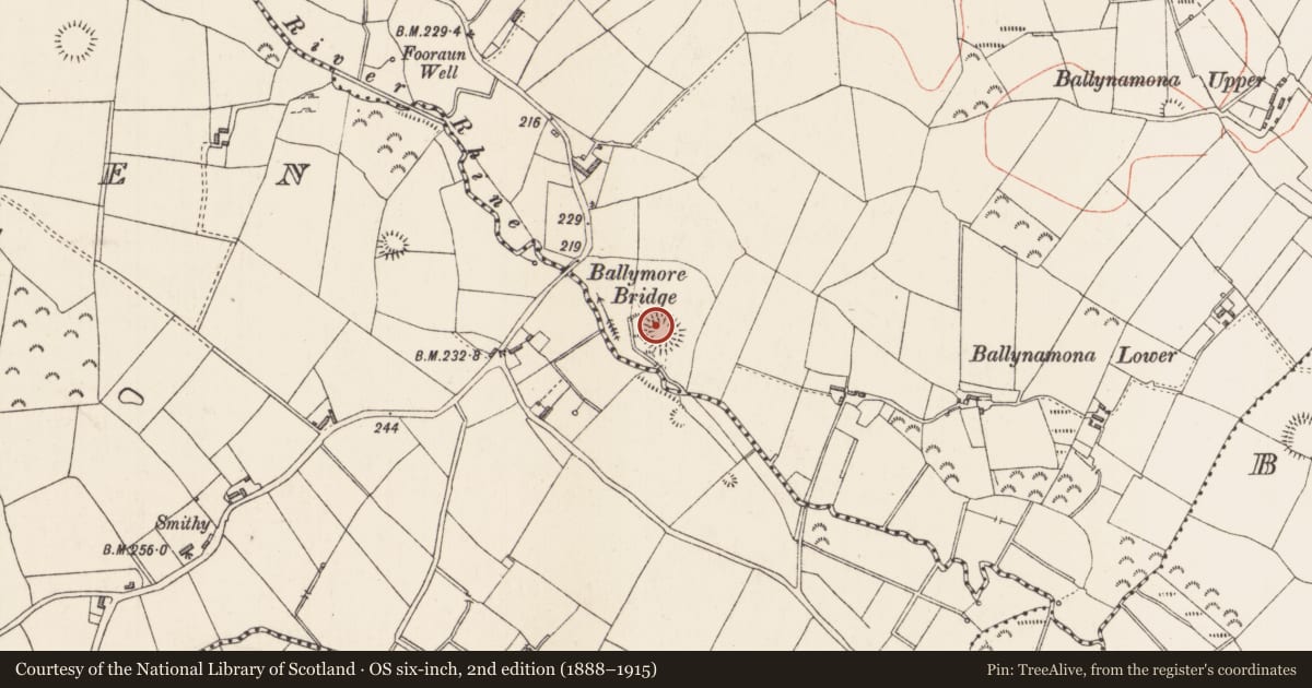 Ordnance Survey six-inch map, 2nd edition (1888–1915) covering the location of Ringfort - rath, Ballymore, County Longford, with a pin at the register's coordinates