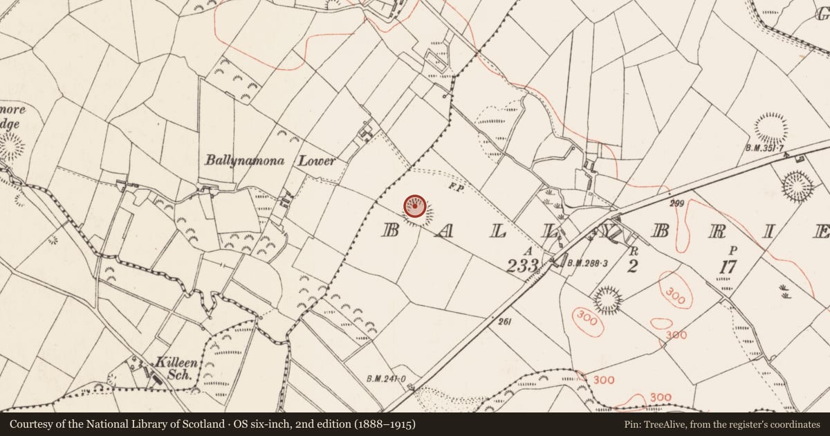 Ordnance Survey six-inch map, 2nd edition (1888–1915) covering the location of Ringfort - rath, Ballybrien, County Longford, with a pin at the register's coordinates