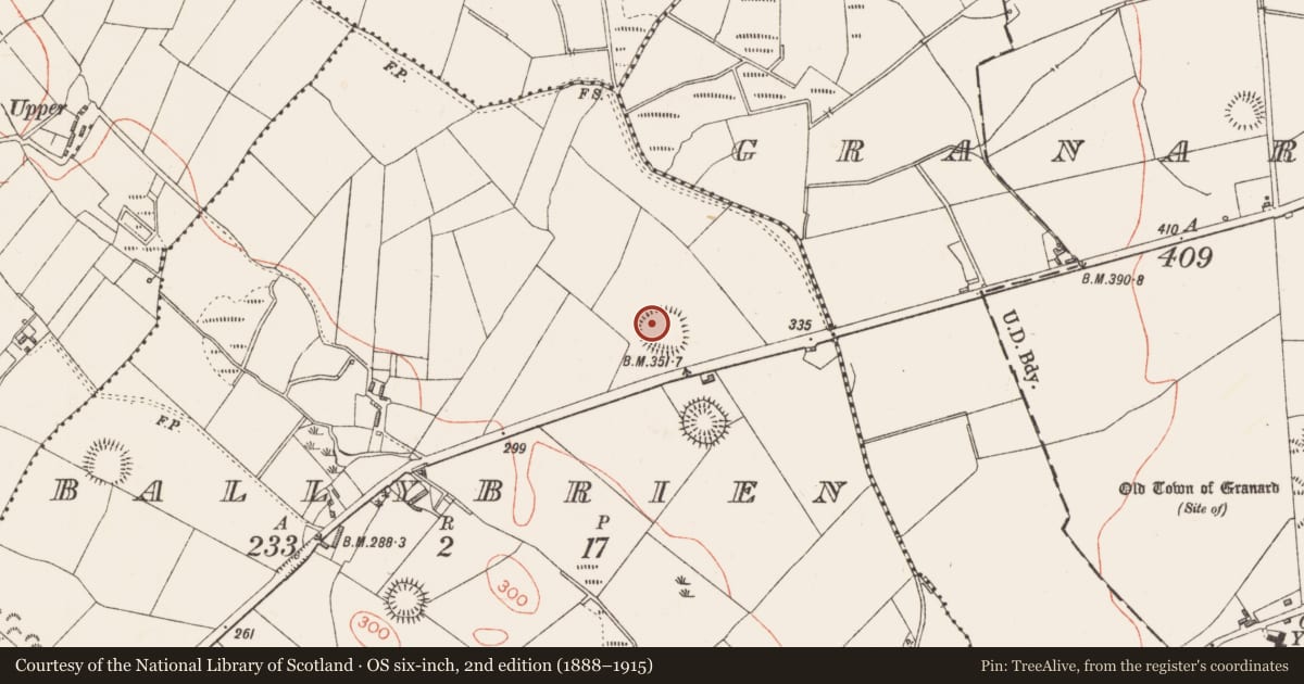 Ordnance Survey six-inch map, 2nd edition (1888–1915) covering the location of Ringfort - rath, Ballybrien, County Longford, with a pin at the register's coordinates