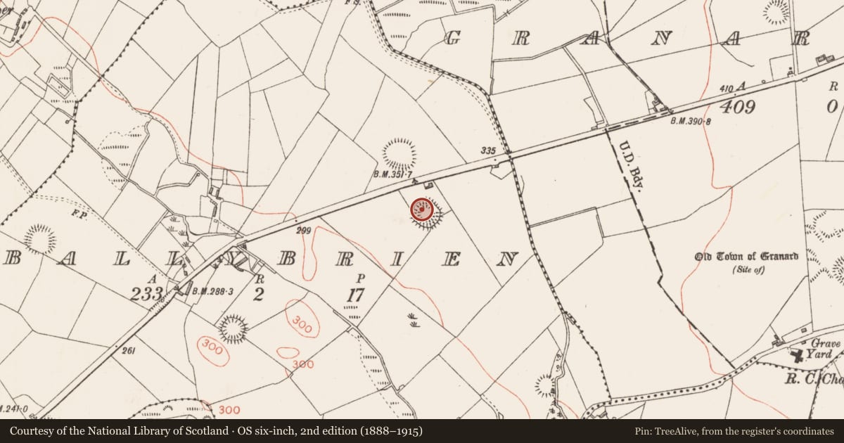 Ordnance Survey six-inch map, 2nd edition (1888–1915) covering the location of Ringfort - rath, Ballybrien, County Longford, with a pin at the register's coordinates