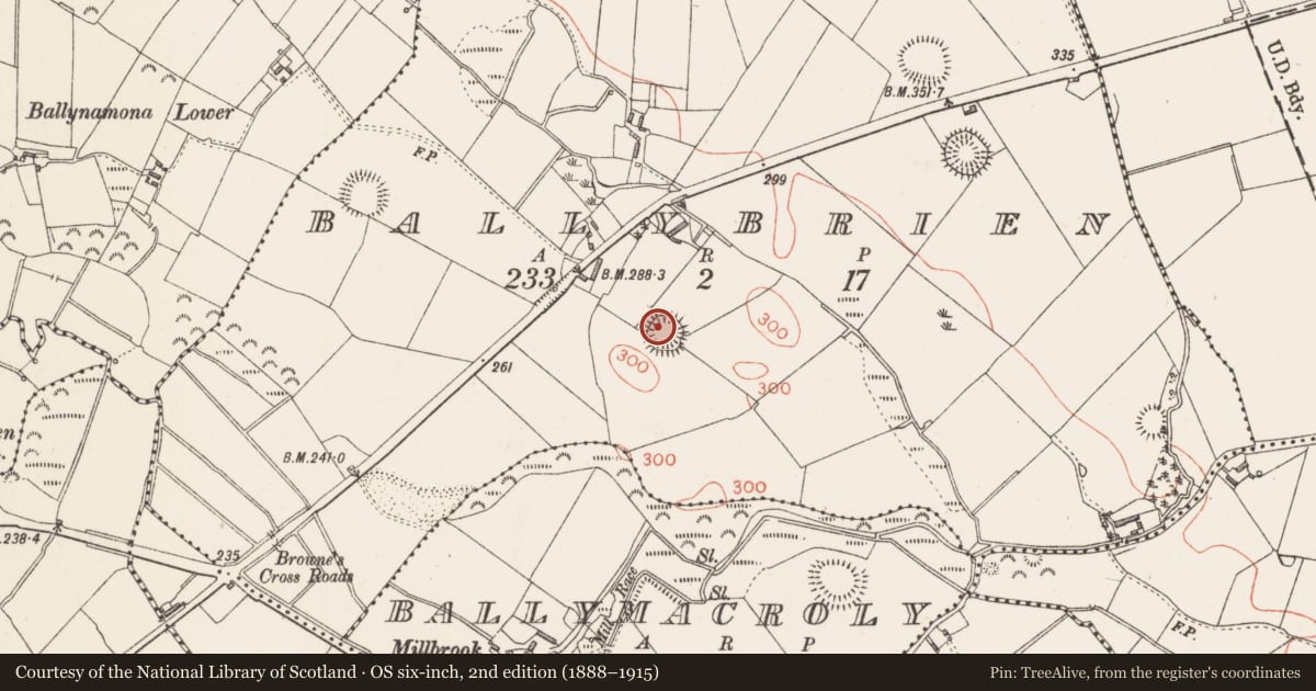 Ordnance Survey six-inch map, 2nd edition (1888–1915) covering the location of Barrow - pond barrow, Ballybrien, County Longford, with a pin at the register's coordinates