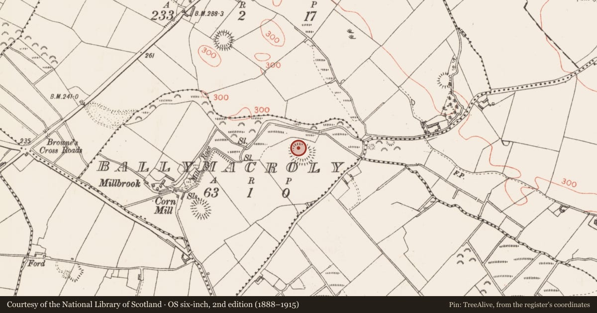 Ordnance Survey six-inch map, 2nd edition (1888–1915) covering the location of Ringfort - rath, Ballymacroly, County Longford, with a pin at the register's coordinates