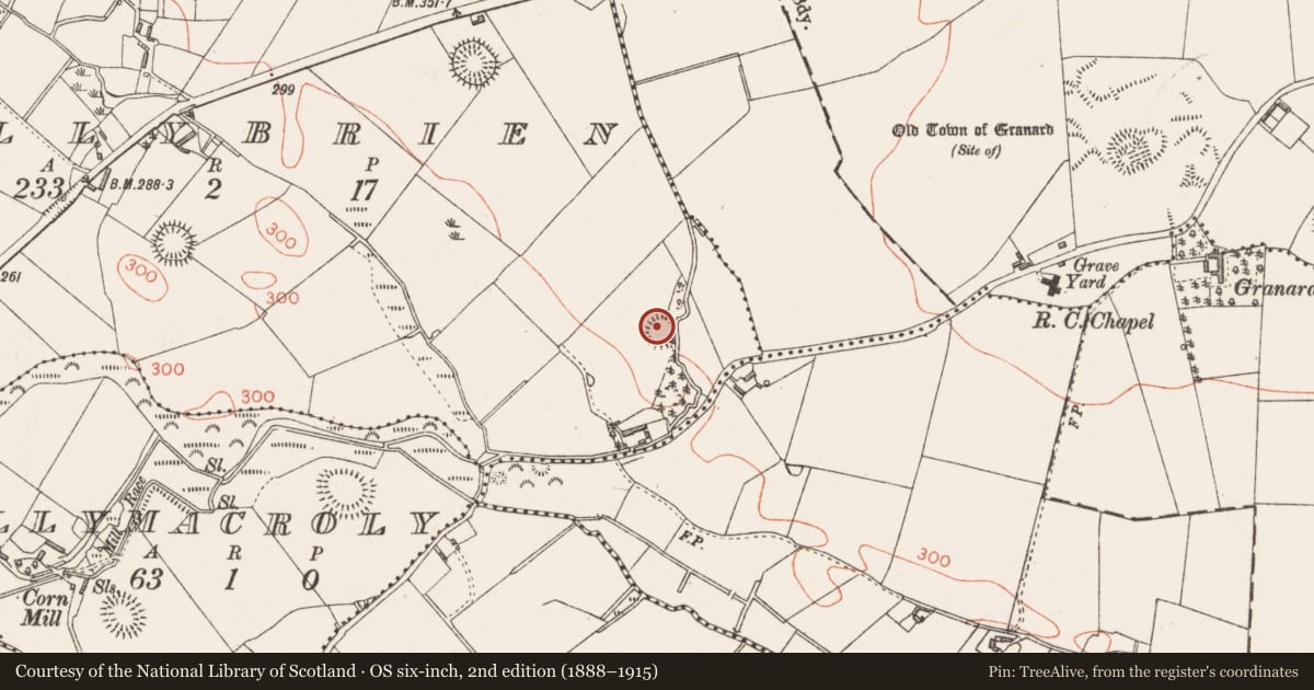 Ordnance Survey six-inch map, 2nd edition (1888–1915) covering the location of Ringfort - rath, Ballybrien, County Longford, with a pin at the register's coordinates