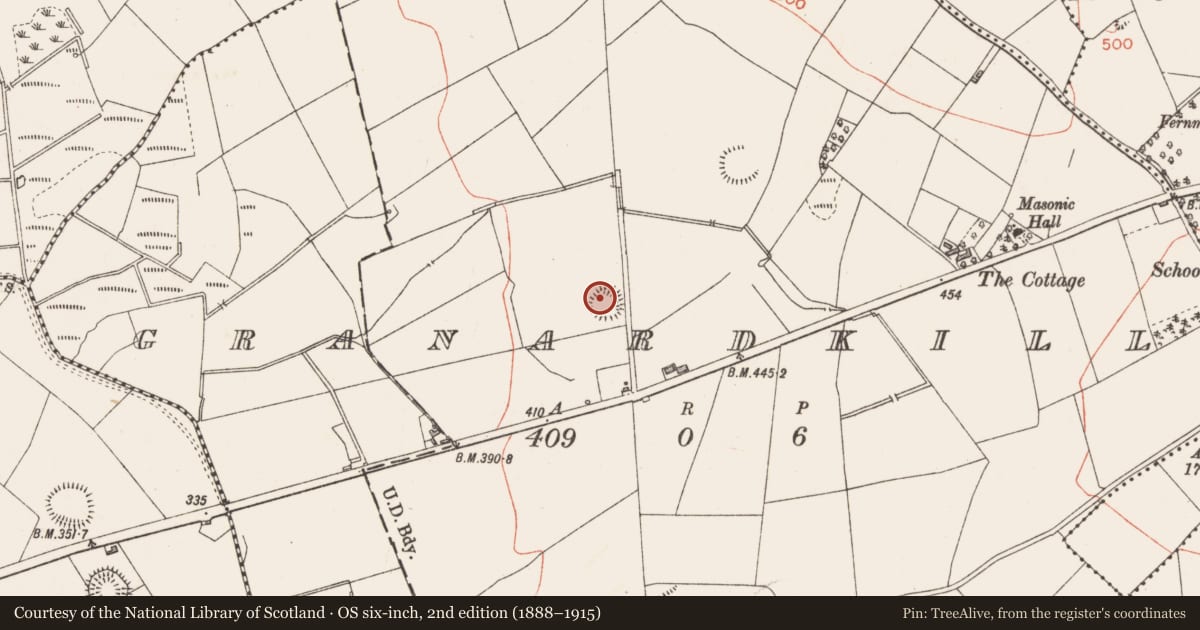 Ordnance Survey six-inch map, 2nd edition (1888–1915) covering the location of Ringfort - rath, Granardkill, County Longford, with a pin at the register's coordinates