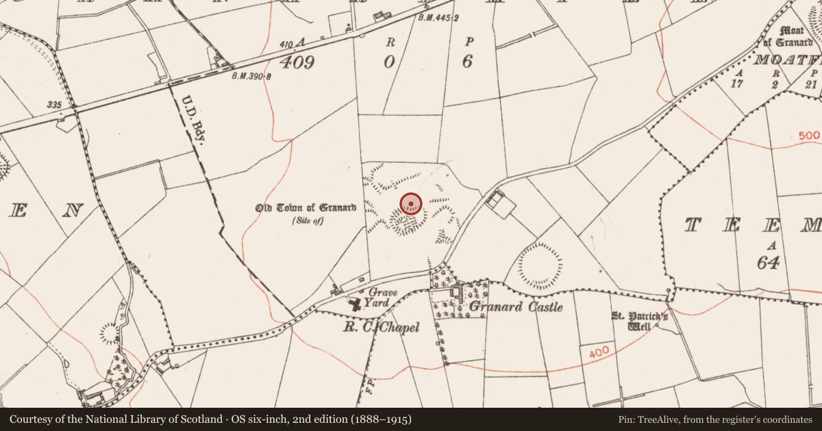 Ordnance Survey six-inch map, 2nd edition (1888–1915) covering the location of Settlement deserted - medieval, Granardkill, County Longford, with a pin at the register's coordinates