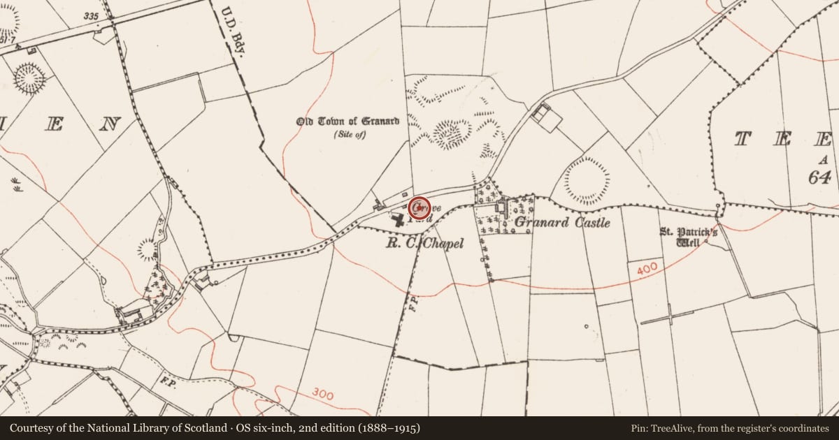Ordnance Survey six-inch map, 2nd edition (1888–1915) covering the location of Graveyard, Granardkill, County Longford, with a pin at the register's coordinates