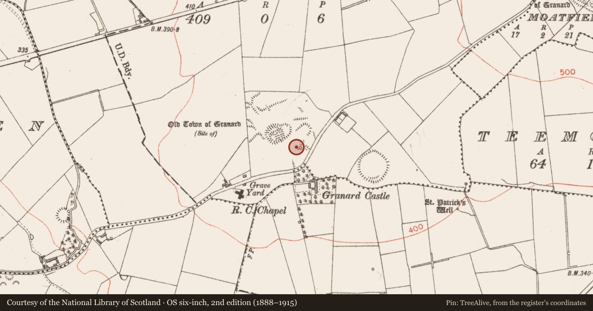 Ordnance Survey six-inch map, 2nd edition (1888–1915) covering the location of Souterrain, Granardkill, County Longford, with a pin at the register's coordinates