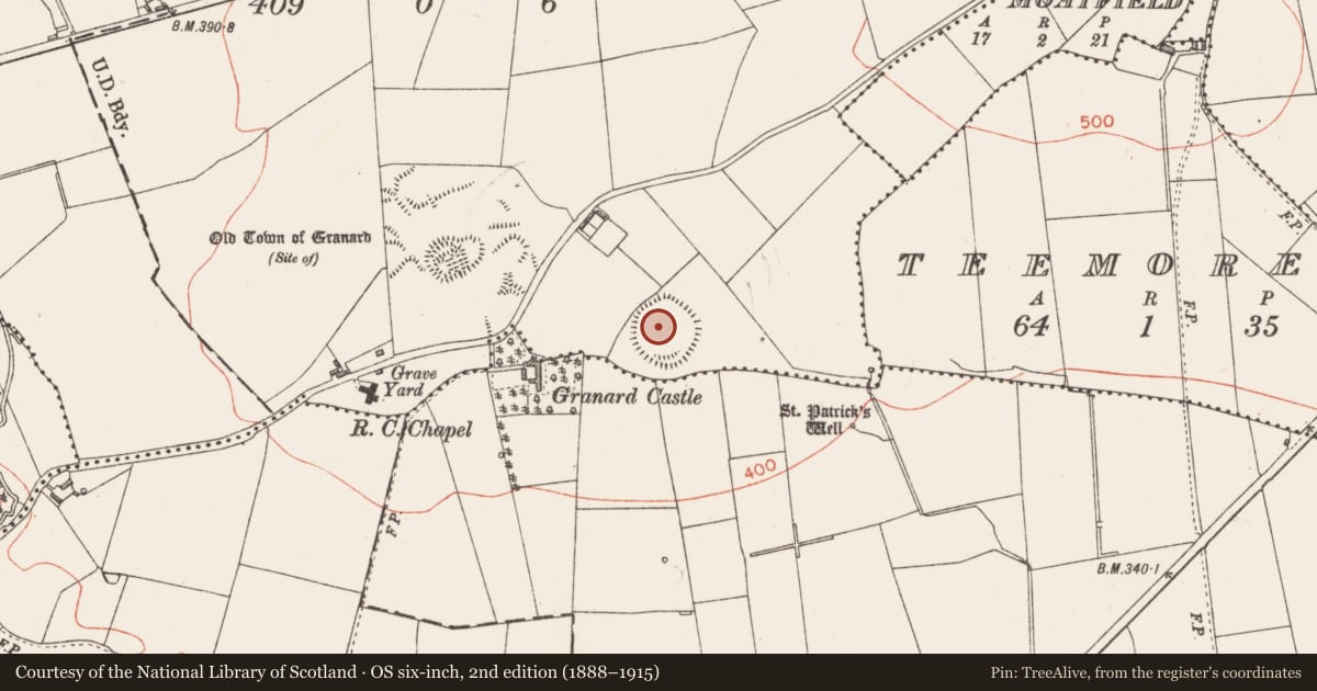 Ordnance Survey six-inch map, 2nd edition (1888–1915) covering the location of Castle - motte, Granardkill, County Longford, with a pin at the register's coordinates