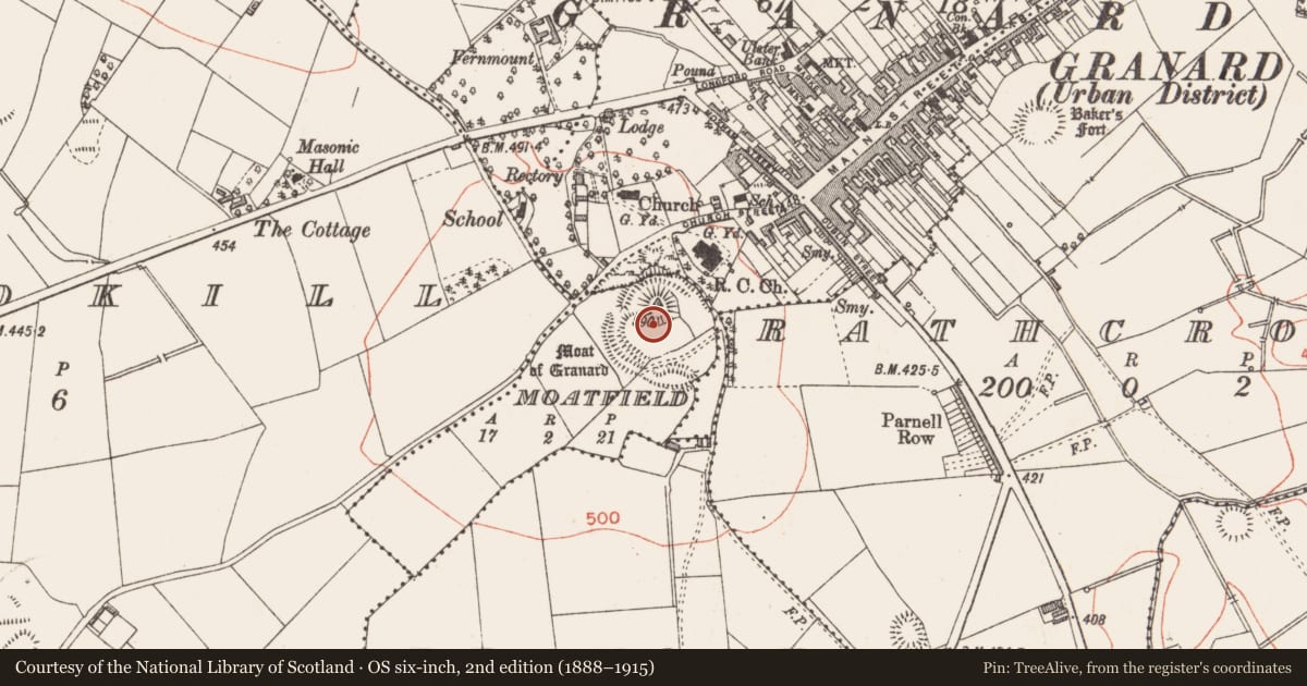 Ordnance Survey six-inch map, 2nd edition (1888–1915) covering the location of Castle - motte and bailey, Granard, Moatfield, County Longford, with a pin at the register's coordinates
