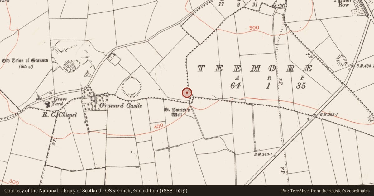 Ordnance Survey six-inch map, 2nd edition (1888–1915) covering the location of Ringfort - rath, Granardkill, County Longford, with a pin at the register's coordinates