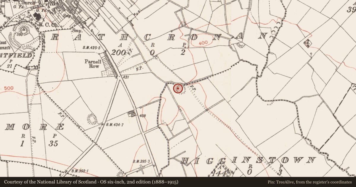 Ordnance Survey six-inch map, 2nd edition (1888–1915) covering the location of Ringfort - rath, Higginstown, County Longford, with a pin at the register's coordinates