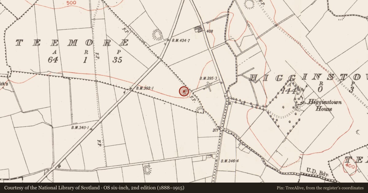 Ordnance Survey six-inch map, 2nd edition (1888–1915) covering the location of Ringfort - rath, Teemore, County Longford, with a pin at the register's coordinates