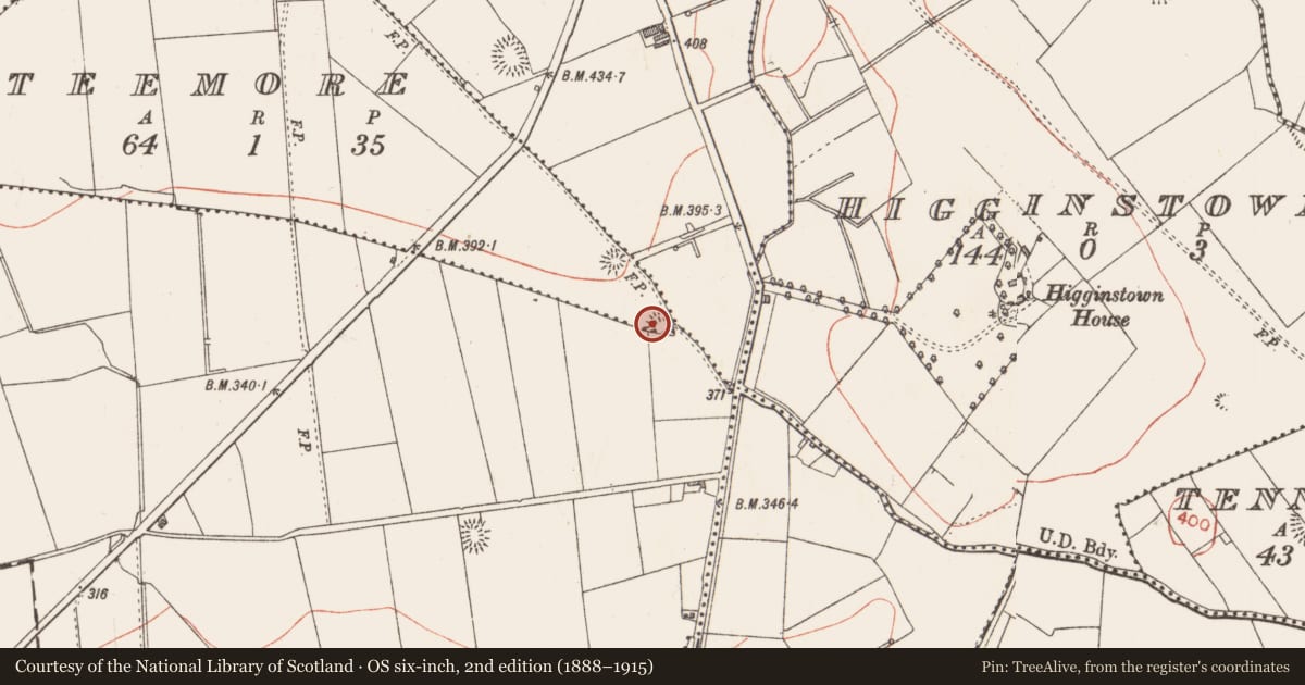Ordnance Survey six-inch map, 2nd edition (1888–1915) covering the location of Ringfort - rath, County Longford, with a pin at the register's coordinates