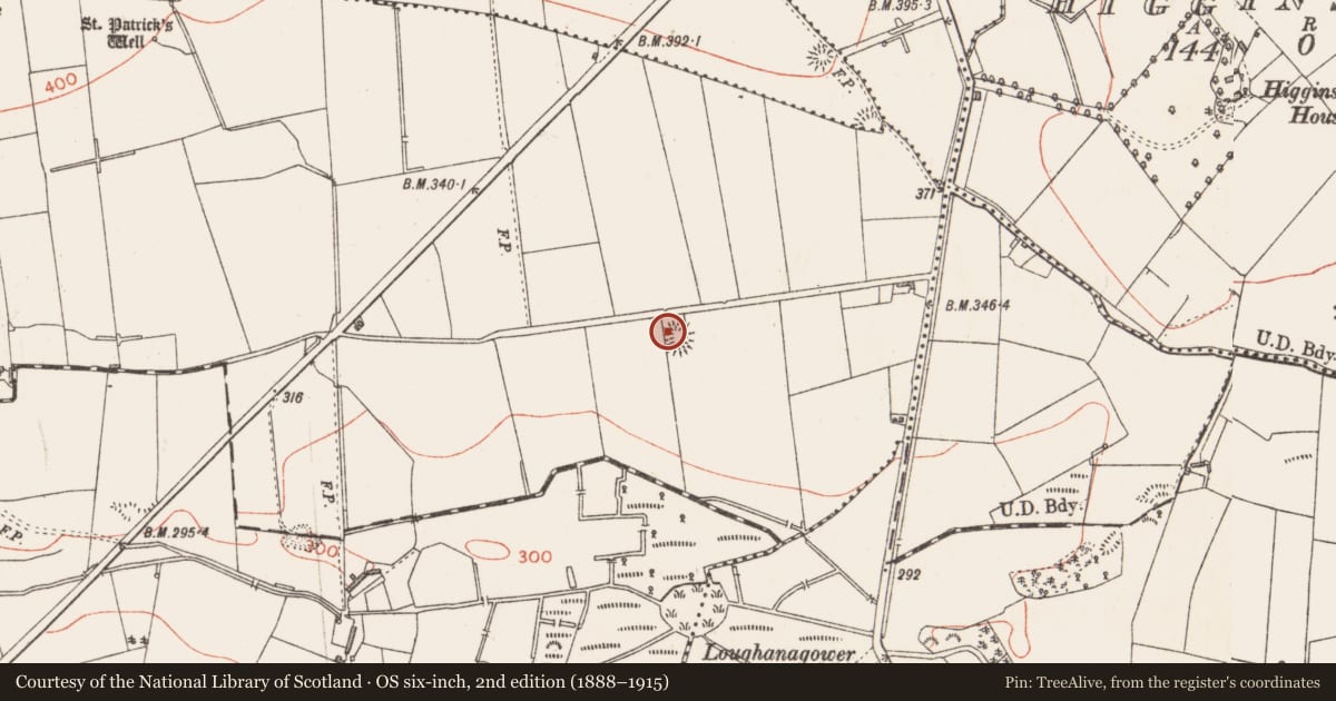 Ordnance Survey six-inch map, 2nd edition (1888–1915) covering the location of Ringfort - rath, Cartron, County Longford, with a pin at the register's coordinates