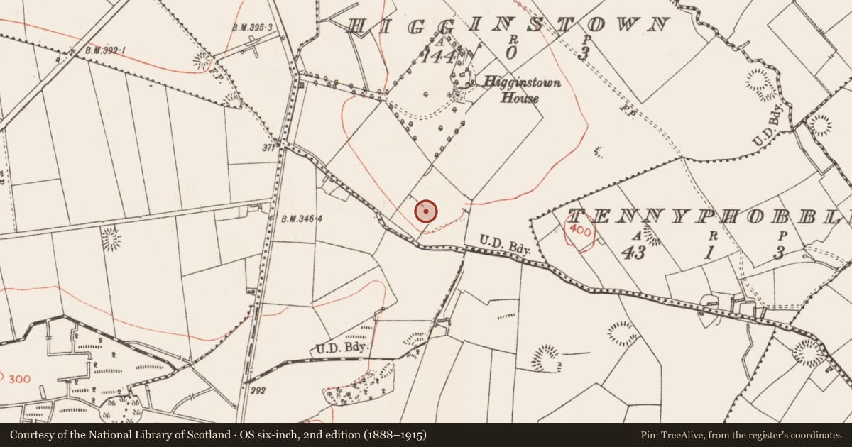 Ordnance Survey six-inch map, 2nd edition (1888–1915) covering the location of Barrow - ring-barrow, Higginstown, County Longford, with a pin at the register's coordinates