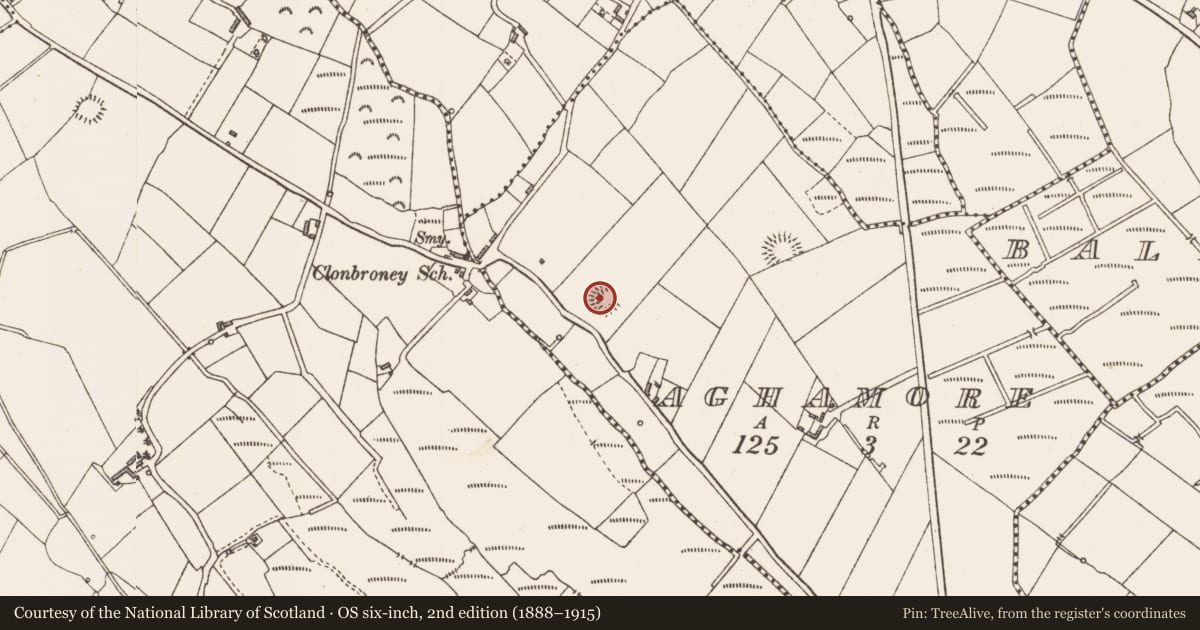 Ordnance Survey six-inch map, 2nd edition (1888–1915) covering the location of Ringfort - rath, Aghamore, County Longford, with a pin at the register's coordinates