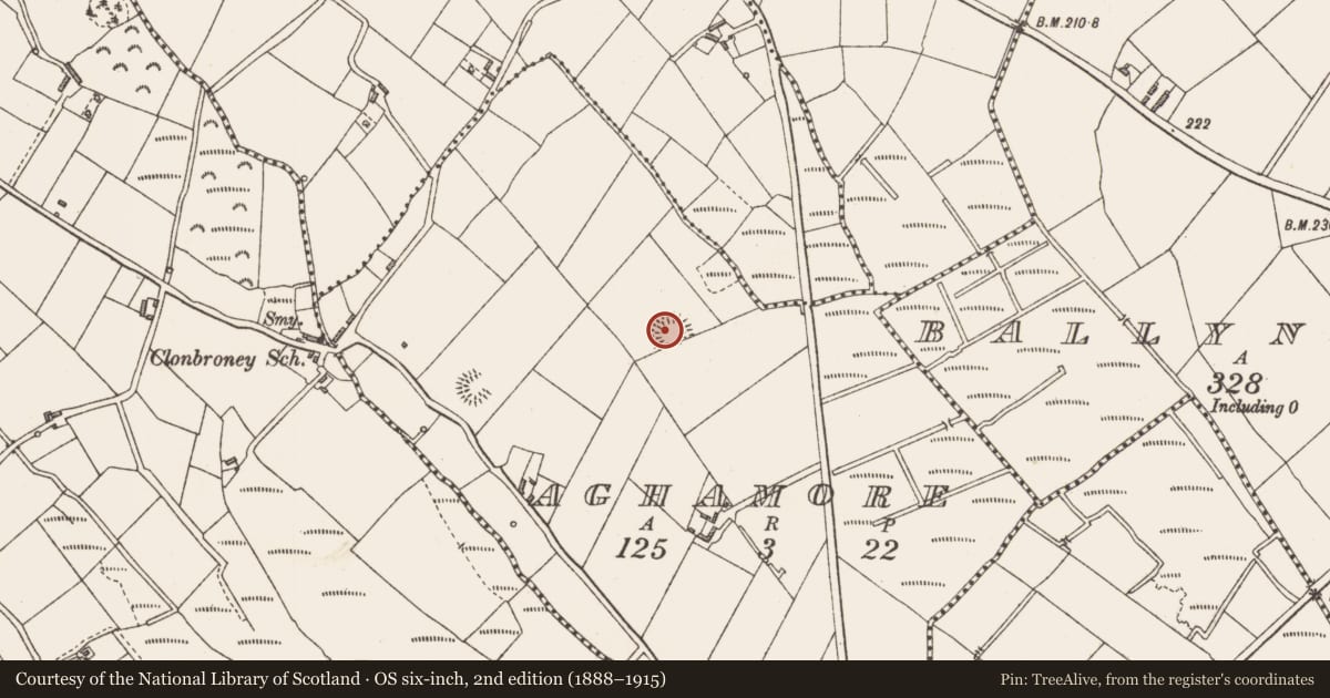Ordnance Survey six-inch map, 2nd edition (1888–1915) covering the location of Ringfort - rath, Aghamore, County Longford, with a pin at the register's coordinates