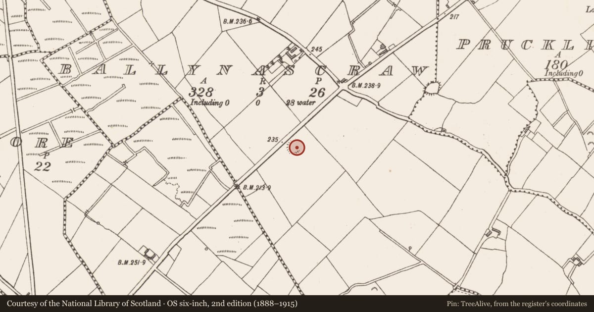 Ordnance Survey six-inch map, 2nd edition (1888–1915) covering the location of Ringfort - rath, Ballynascraw, County Longford, with a pin at the register's coordinates