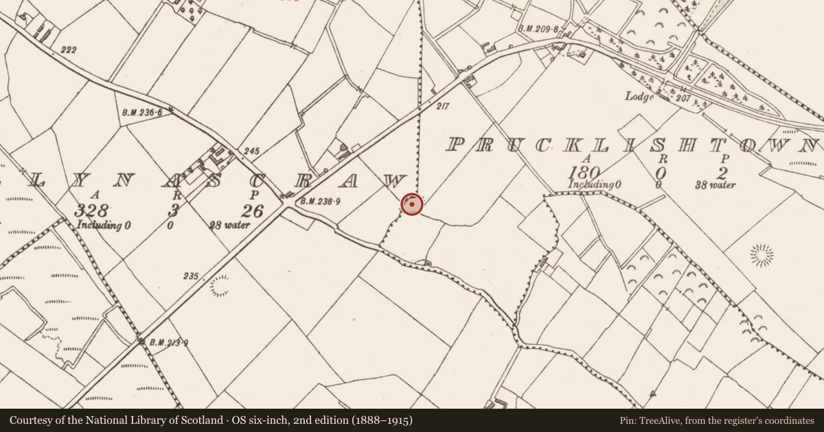 Ordnance Survey six-inch map, 2nd edition (1888–1915) covering the location of Ringfort - rath, Ballynascraw, Prucklishtown, County Longford, with a pin at the register's coordinates