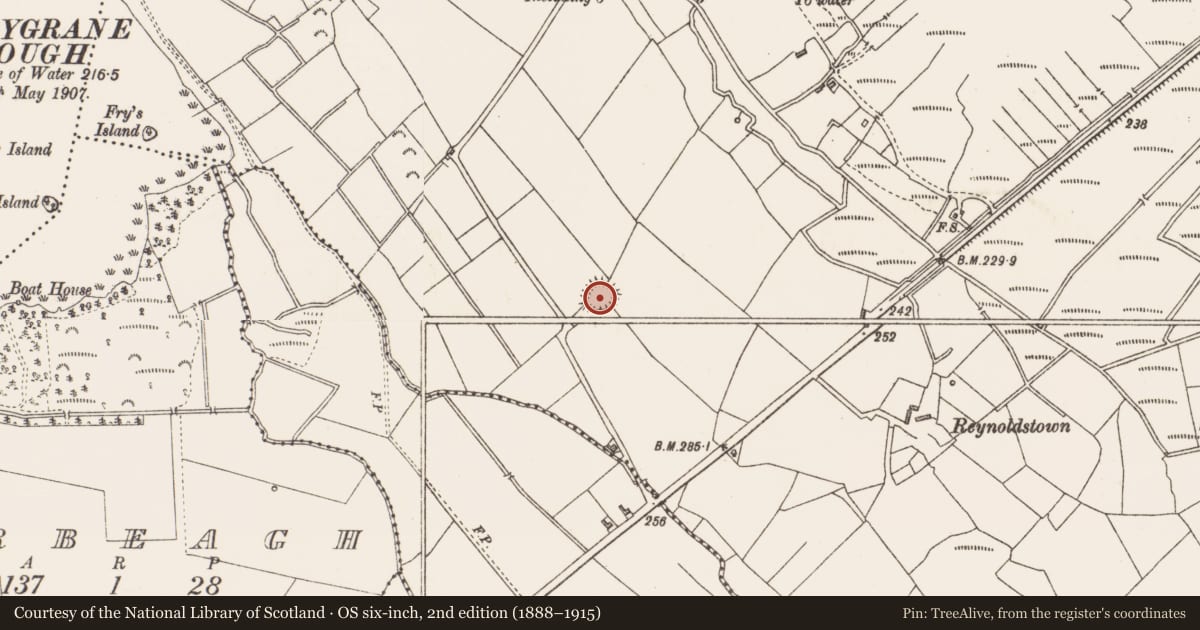 Ordnance Survey six-inch map, 2nd edition (1888–1915) covering the location of Ringfort - rath, Drummeel, County Longford, with a pin at the register's coordinates